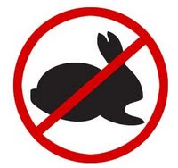 no_rabbits